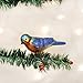 Old World Christmas Bird Watcher Collection Glass Blown Ornaments for Christmas Tree Bluebird, 18043