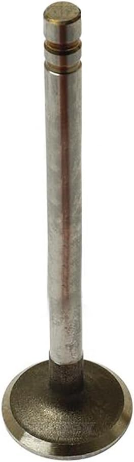 RAParts D8NN6505AA Fits Ford New Holland Tractor Exhaust Valve 256 3230 3430 3930 4110 +