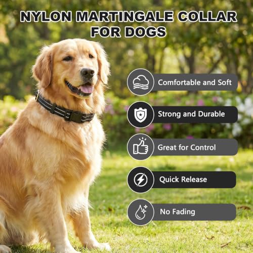 Collar Martingale para perros tamaño M color negro miniatura 4