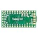 Teensy LC (Without Pins)
