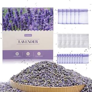 Ceshem Getrocknete Lavendelsäckchen 24 Stück