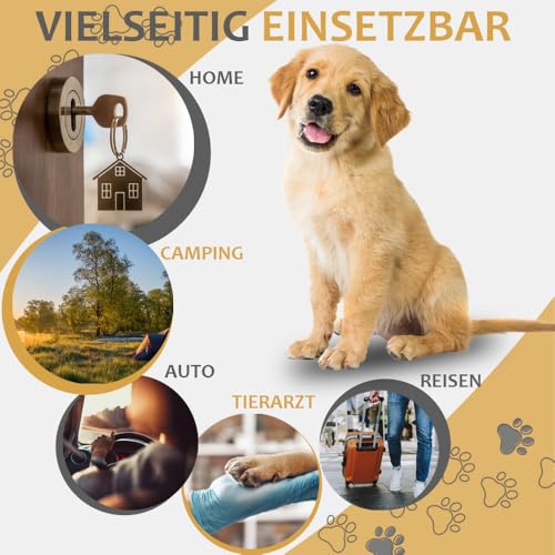 Faltbare Hundebox Transporttasche Transportbox Auto für Katze Hunde Große Kleine Box Bag Bed Decke Klein Auto Transport 7 Größen Taschen Fünf Farben Petigi (Creme, L (70 x 52 x 51 cm))