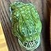 Jade Frog with Coin in Mouth, Feng Shui Jade Money Frog, Three-Legged Toad Statue Figurine Decoration, Attract Wealth and Good Luck (3.9 * 2.3 in)