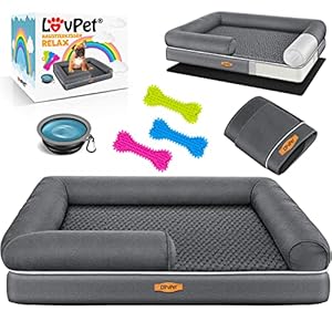 Lovpet® Cama ortopédica para Perros, cojín para Perros, Cesta para Perros Relax, Incluye comedero + 3 Huesos para Masticar, sofá para Perros pequeños, medianos y Grandes, Funda extraíble y Lavable