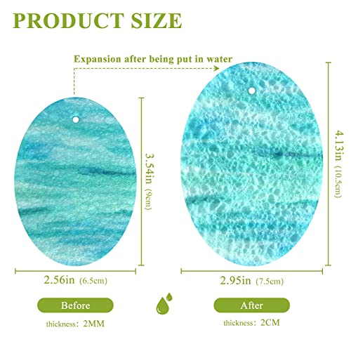 Image of Abstract Turquoise Household Cleaning Sponges Kitchen Sponge Washing Dishes Cleaning Kitchen Non-Scratch 3 Scrub Sponges for Kitchen Dishes Sinks