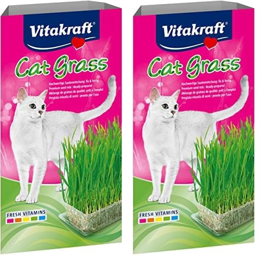 Vitakraft Katzen Gras Set, Cat Grass, 1x 120g (Packung mit 2)