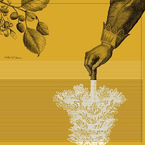 Rideau - Vinyl release thumbnail