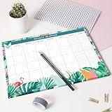 Joeji's Kitchen Weekly Planner Pad Tear Off Sheets 60 Pages A4 Organiser 100 GSM Offset Paper Punched Hole for Hanging Plan Your Weekly Timetable (Aqua) - Image 7