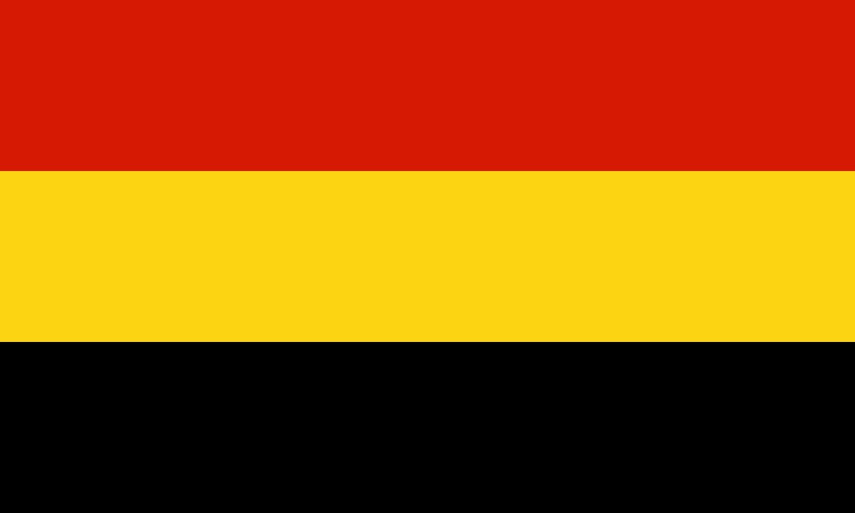 Drapeau Large Coamo au format paysage pour mât extérieur - Édition Puerto Rico