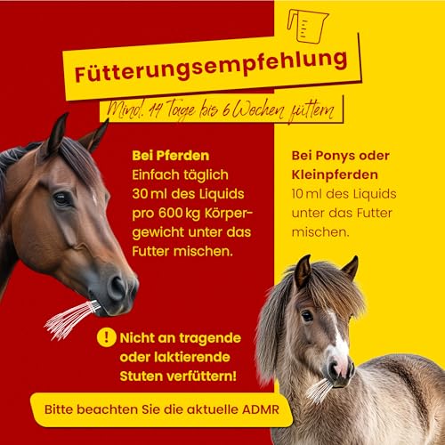Scheidler horse-direkt Teufelskralle Liquid für Pferde 2500ml – Flüssiger Booster für mehr Bewegungsfreude – 100% Natürliches Ergänzungsfutter – Alternativ zu Teufelskralle Pulver/Pellets