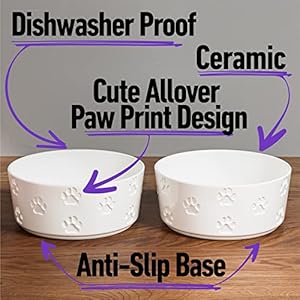 Ceramic Dog Bowl Set with Antislip Rings  65 Round X 25 Tall Set of 2 Ceramic Dog Bowls Medium Sized Dog  Dog Food and Water Bowl  White Dog Dishes  Dog Food Bowls  Dog Bowls Small Size Dog  Cucciolini Doodles Ceramic dog bowl set with anti slip rings  6 5 round x 2 5 tall set of 2 ceramic dog bowls medium sized dog  dog food and water bowl  white dog dishes  dog food bowls  dog bowls small size dog   cucciolini doodles
