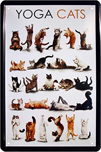 WOGEKA ART Retro Blechschild - Yoga cats - witzige Katzenrassen Übersicht - witziger Spruch als Geschenk-Idee Geburtstag Weihnachten Dekoration 20x30 cm...