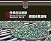 Rou Gui Da Hong Pao Dahongpao Chinese Fujian Oolong Tea Big Red Robe 500g Tin Wuyishan Oolong Tea