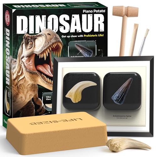 Image of Dinosaur Claw Excavation Set for Children
