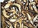 Generic 1 Pound (454 grams) Boletus aereus mushroom dried Grade A Black porcini
