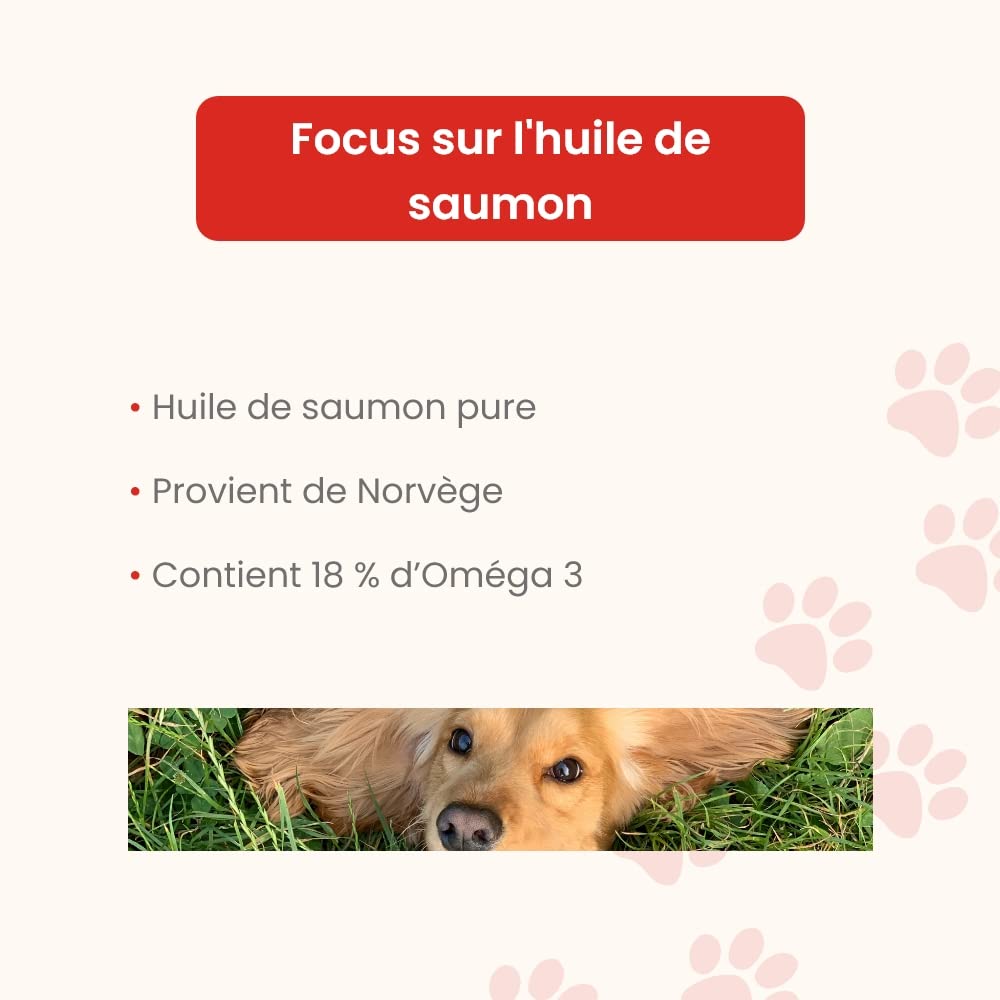 Huile DE Saumon 5 L - pour Chiens et Chats - Source d'Oméga 3 - Beauté du Pelage - Brillance des Poils - Santé de la Peau - Confort Cardio-vasculaire - Développé en France