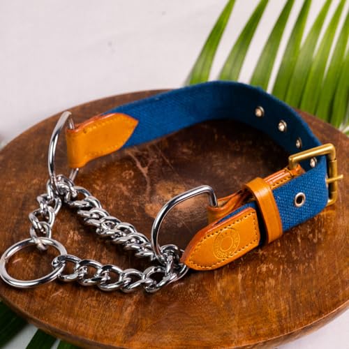 Vama Leathers Martingale Collar with Chain-Turquoise/Medium (B096N3HH63) Amazon Price History, Amazon Price Tracker