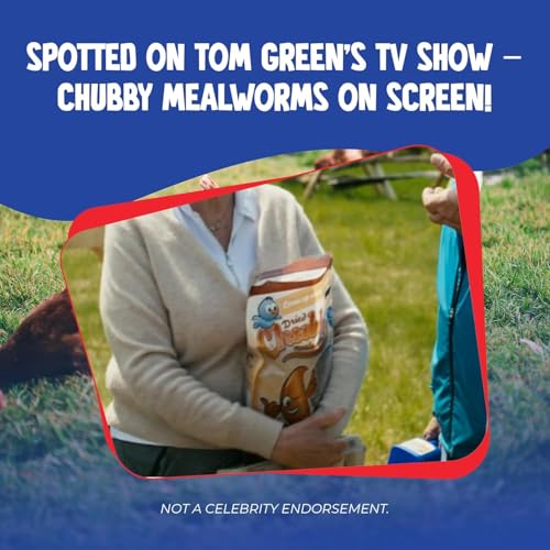 Chubby Dried Mealworms | 11 lbs | High Protein Non GMO Insect Treat for Wild Birds, Chickens & Backyard Feeders - Image 6