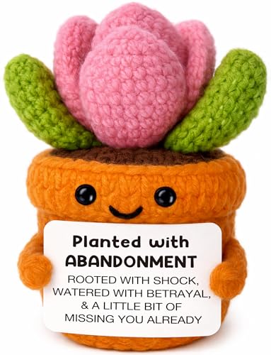 Coworker Leaving Gifts for Women Men Funny Crochet Succulent Farewell Gift