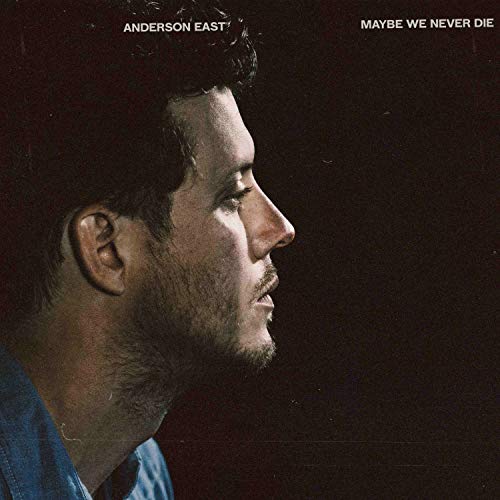 Album Art for Maybe We Never Die by Anderson East