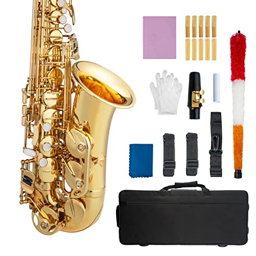 New Alto EB Tune TbNX ^J S[h bJ[ TbNX P[Xt }EXs[X 2.5 AgTbNX [h RN Xgbv uV O[u P[X w TbNX