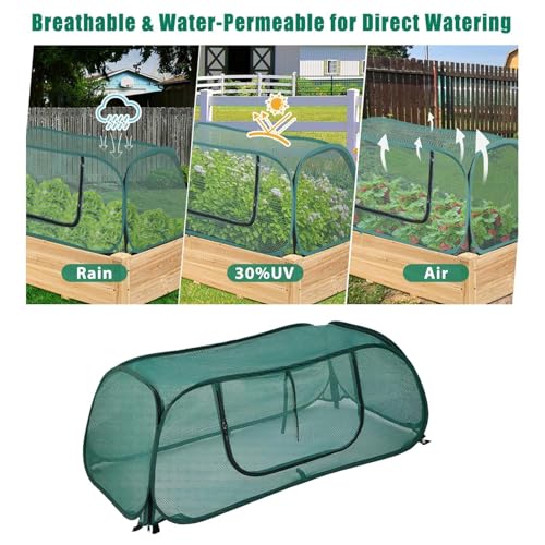Protector de planta para camas elevadas de hortalizas y frutales 6