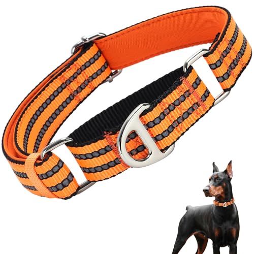 Martingale Collar for Dogs, Reflective Nylon No Pull Choke Collar with Padded Comfort, Metal D-Ring & No Buckle for Training, Walking & Overexcited Pulling Control-Orange L