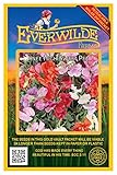 Everwilde Farms - 50 Knee High Mix Sweet Pea Wildflower Seeds - Gold Vault Jumbo Seed Packet