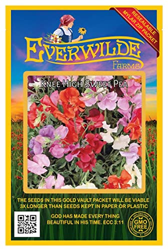 Everwilde Farms - 50 Knee High Mix Sweet Pea Wildflower Seeds - Gold Vault Jumbo Seed Packet Everwilde Farms - 50 Knee High Mix Sweet Pea Wildflower Seeds - Gold Vault Jumbo Seed Packet
