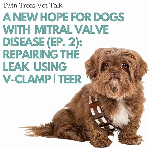 NEW EPISODE! A New Hope For Dogs With Mitral Valve Disease (Episode 2): Repairing the Leak Using TEER V-Clamp