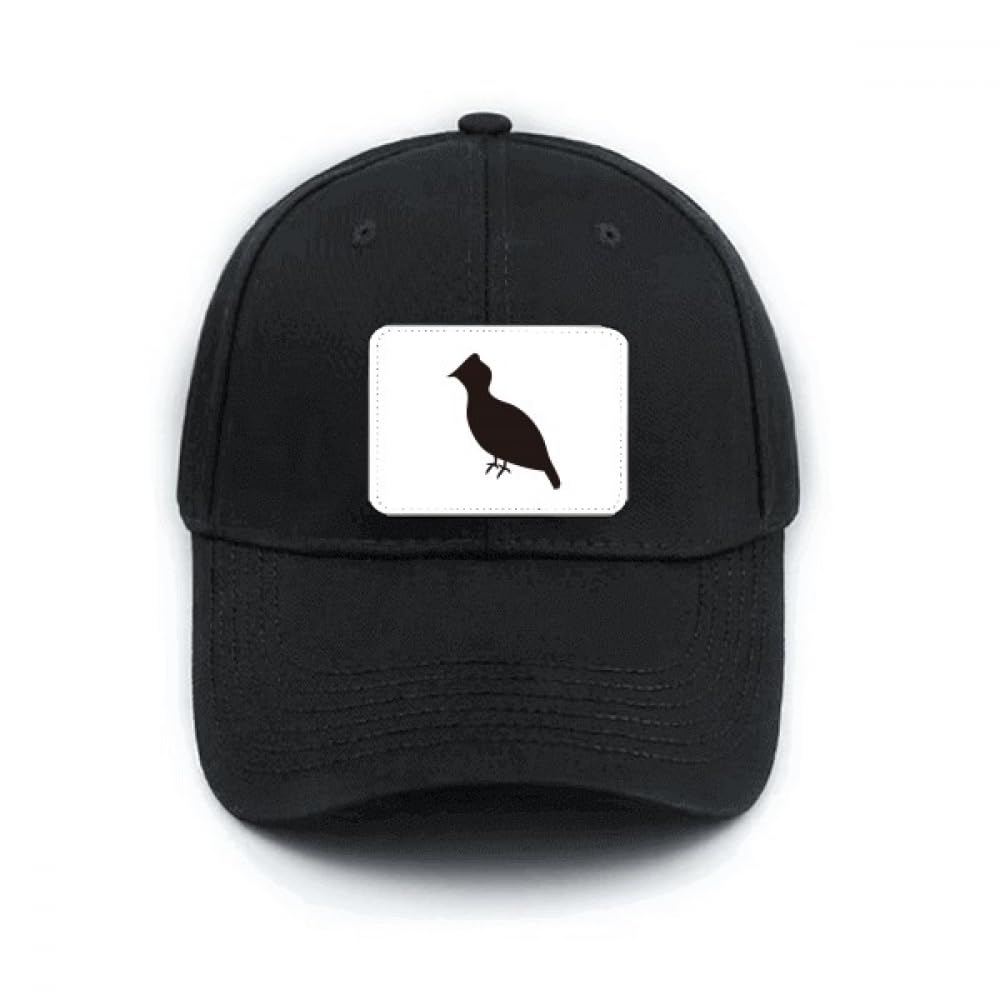 Casquette de baseball noire réglable pour éviter la gêne du soleil