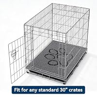 Bcoimo Chenille Doormats Absorb Moisture and Dirt 30*20, Muddy Mats for Dog — image 8