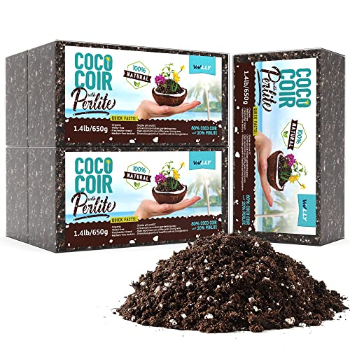 Best Coco Coir Perlite Mix The Perfect Recipe For Success
