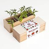 Disfruta la experiencia de cultivar tus propios ingredientes.