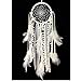 Dremisland Dream catcher Handmade Traditional White Feather Wall Hanging Car Hanging Home Decoration Ornament Decor Ornament Craft Gift (White)