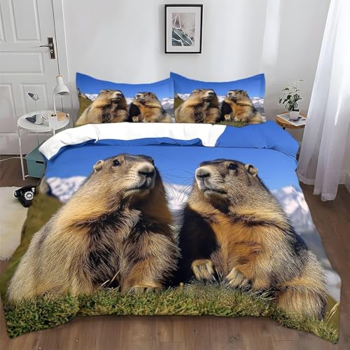 【Contenuto della confezione】Single Size: 1 copripiumino da 135 x 200 cm + 2 federe da 50 x 80 cm; 1 copripiumino da 155 x 200 cm + 2 federe da 50 x 80 cm; Double Size: 1 copripiumino da 200 x 200 cm + 2 federe da 50 x 80 cm; 1 copripiumino da 250 x 200 cm + 2 federe da 50 x 80 cm; 1 copripiumino da 240 x 220 cm + 2 federe da 50 x 80 cm; 1 copripiumino da 260 x 240 cm + 2 federe da 50 x 80 cm