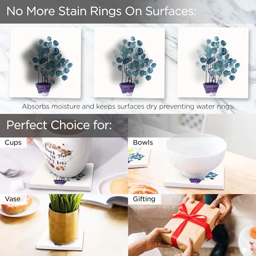 Image of The Better Home Diatomite Coasters Set of 6 (Dia - 10cm) | Dining Table Decor Accessories | Cups /Coffee Mugs /Glasses Coaster Set | Glass Cover Lid | Kitty Party Return Gifts for Women
