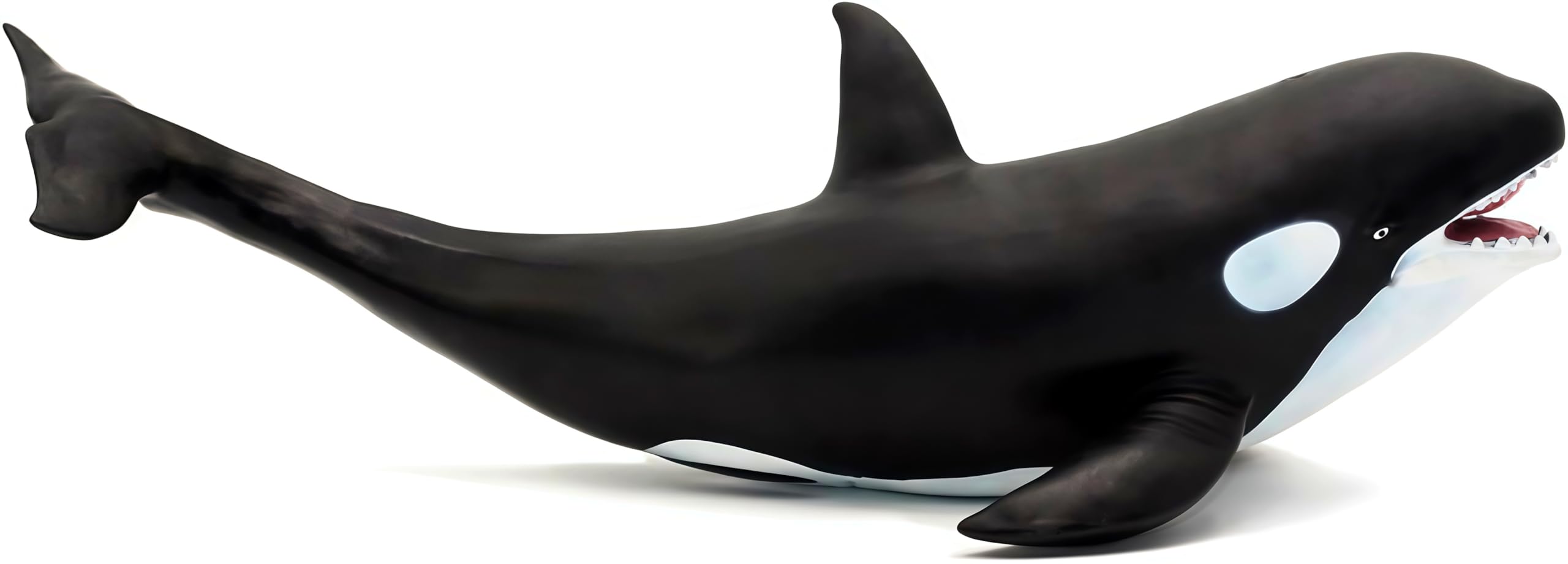 Killer Whale