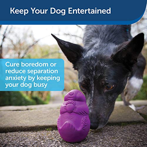 PetSafe Brinquedo para cães Busy Buddy Squirrel Dude – Brinquedo dispensador de petiscos – Tamanhos