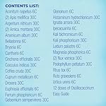 Boiron Homeotravel Travel First Aid Kit with Homeopathic Medicines - Filled Case (16 Tubes) - Image 3