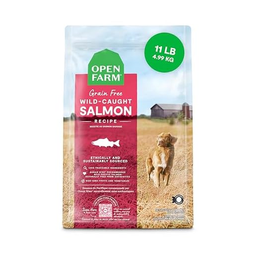 Open Farm, Grain-Free Dry Dog Food, Complete & Balanced Kibble, Sustainably & Ethically Sourced Ingredients, Non-GMO Veggies & Superfoods to Support Overall Health, Wild-Caught Salmon Recipe, 11lb Bag