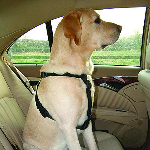 Kumfi Canine Kumfi Safety Harness Size L