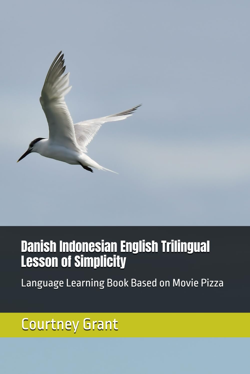 Danish Indonesian English Trilingual Lesson of Simplicity: Language Learning Book Based on Movie Pizza