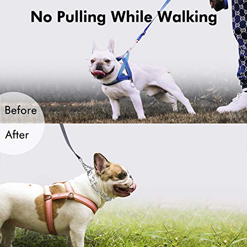 Best Dog Pinch Collars Buying Guide Gistgear