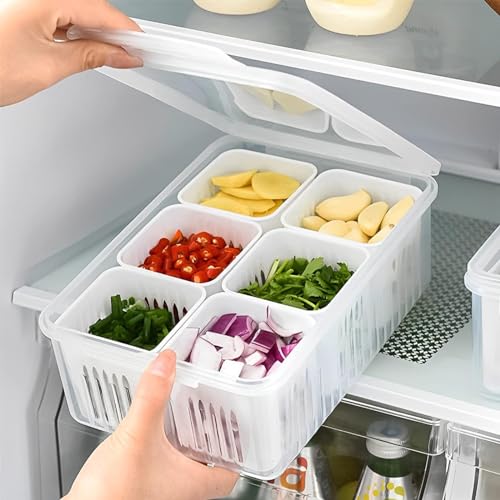 Image of TASMAX Fridge Storage Boxes, Plastic Fridge Containers, Fridge Accessories Items, (Fridge Storage 6GRID)
