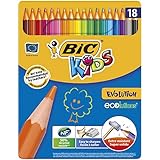  Descripción del producto: BIC 890288