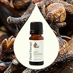 Plant Therapy Organic Clove Bud Essential Oil 100% Pure, USDA Certified Organic, Undiluted, Natural Aromatherapy, Therapeutic Grade 10 mL (⅓ oz) - Image 3
