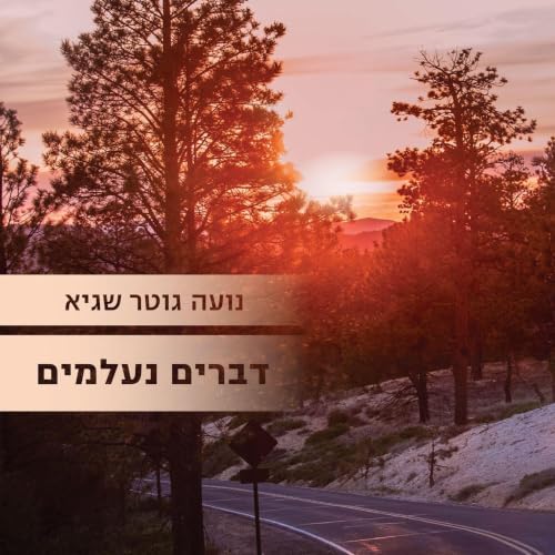 דברים נעלמים cover art
