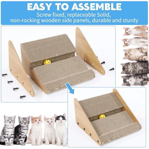 Rampilla para caja de arena para gatos y gatitos miniatura 6