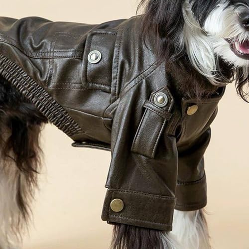 Ropa de invierno para cachorros y perros pequeños abrigo resistente al viento elegante 7